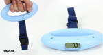 Luggage scale