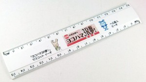 15ｃｍCM定規の名入れ商品写真・フルカラー