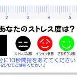 ストレスチェック定規拡大の写真