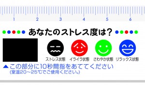 ストレスチェック定規拡大の写真