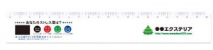 ストレスチェック定規名入れの写真